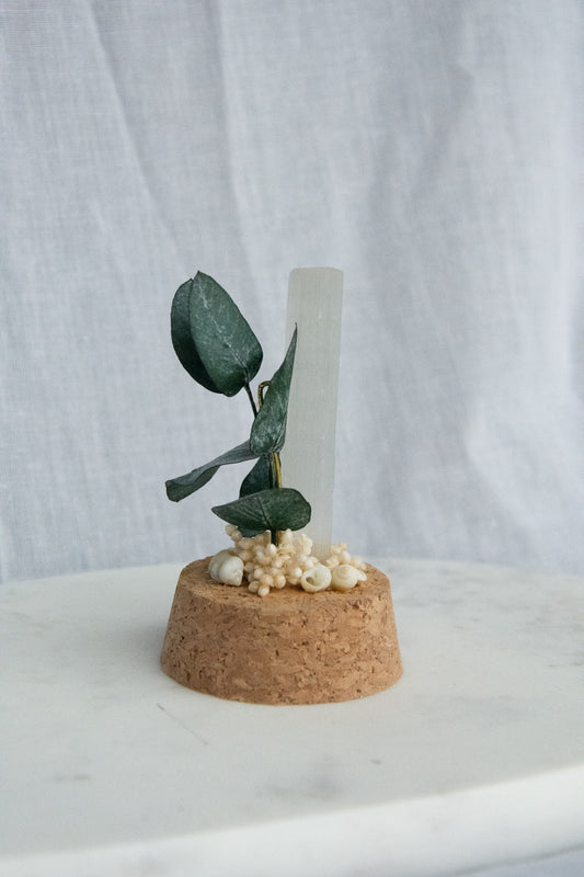 Curiosité : Sélénite