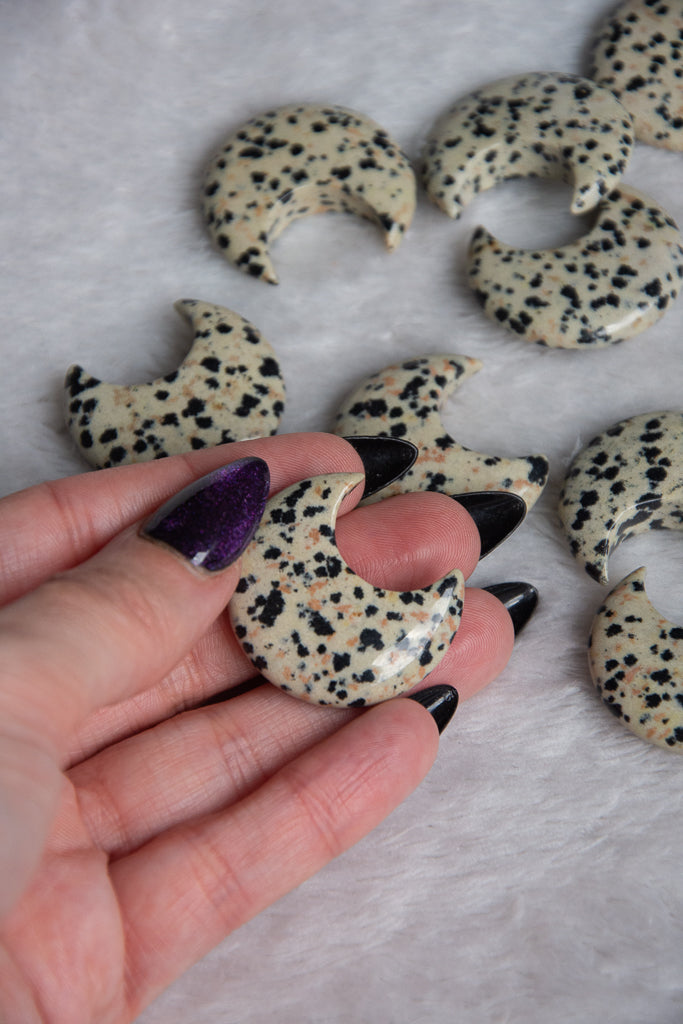 Lune en Jaspe dalmatien