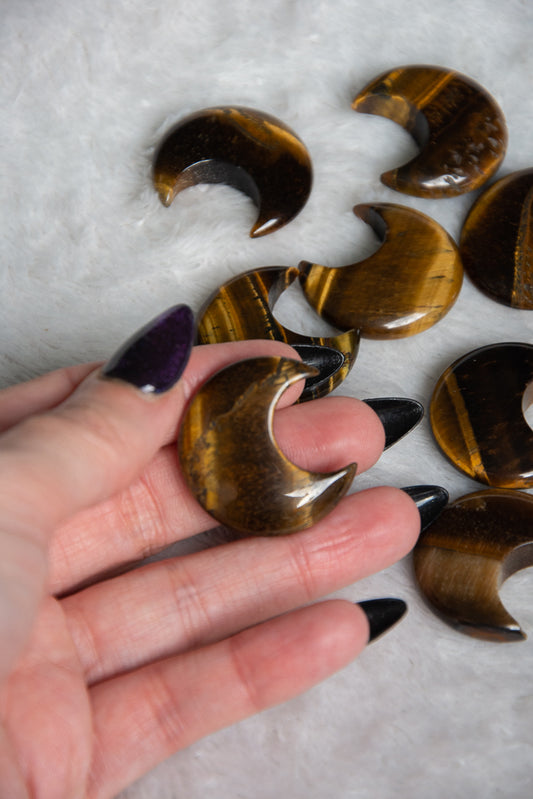 Lune en œil du tigre