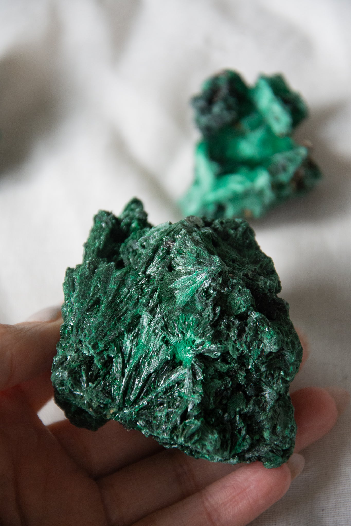 Malachite fibreuse