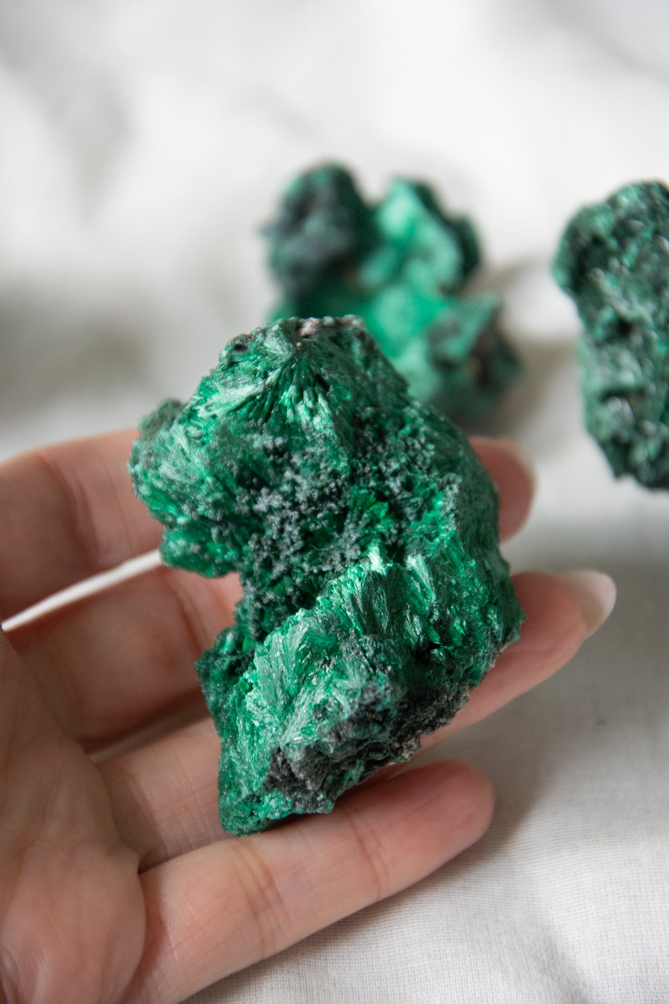 Malachite fibreuse