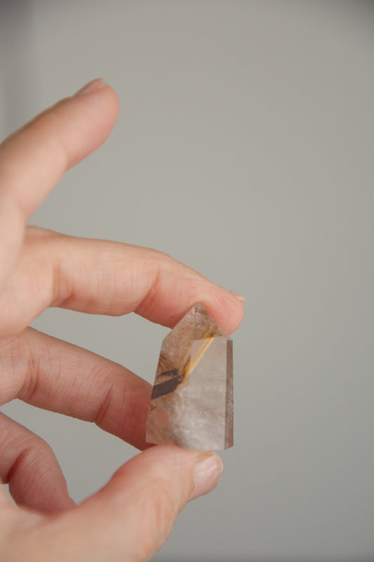 Mini pointes de Quartz rutile