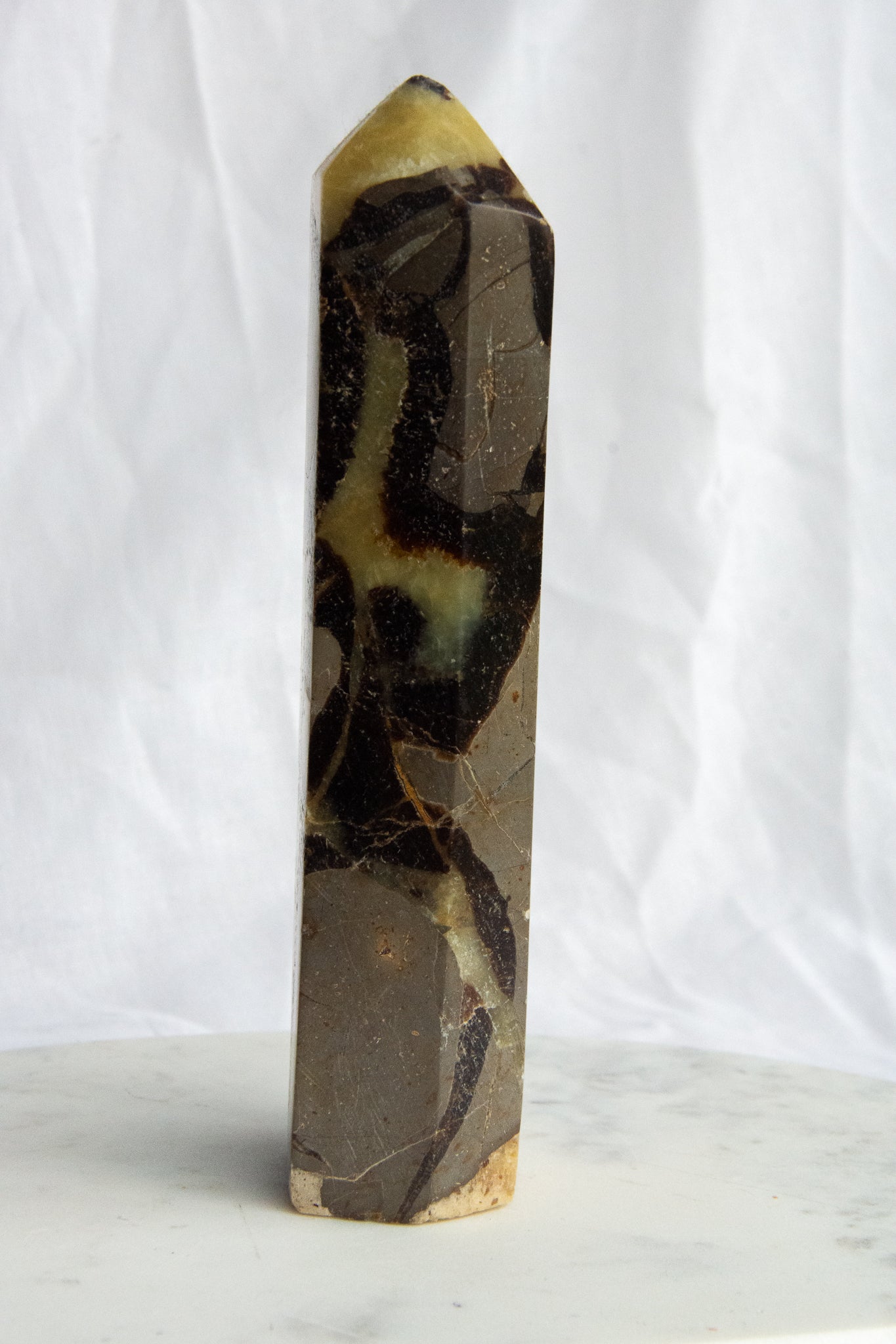 Pointe XL de Septaria
