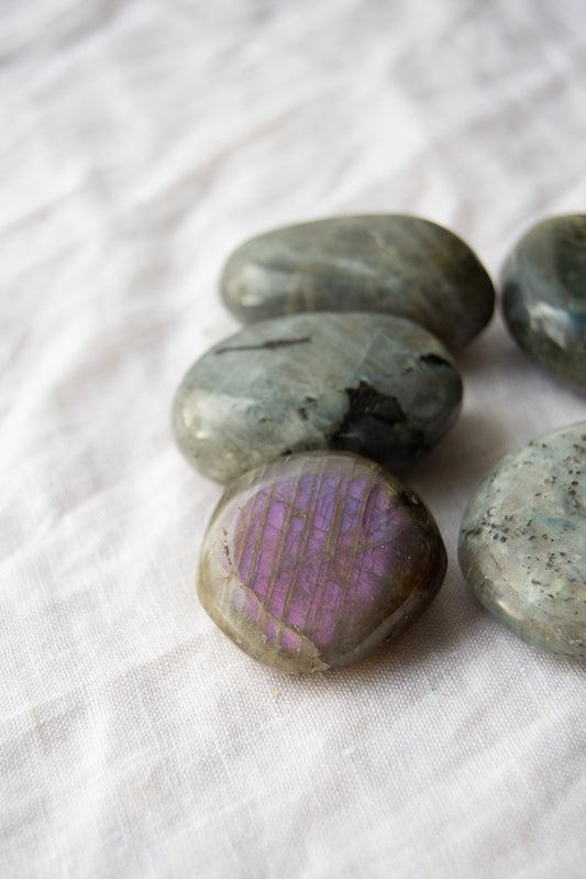 Mini galets labradorite violette