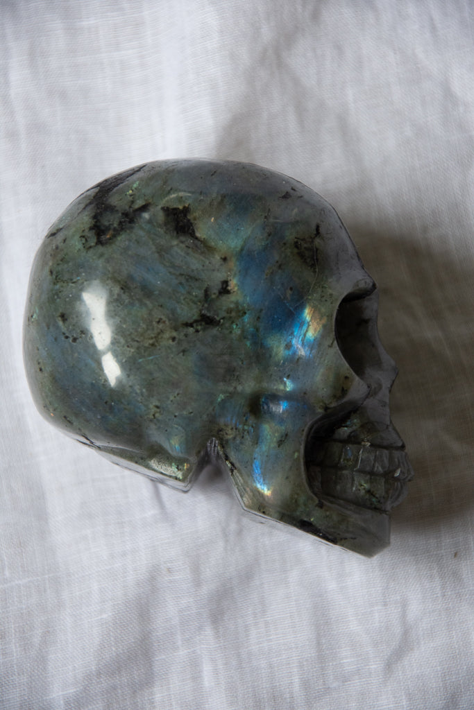 Crâne en Labradorite