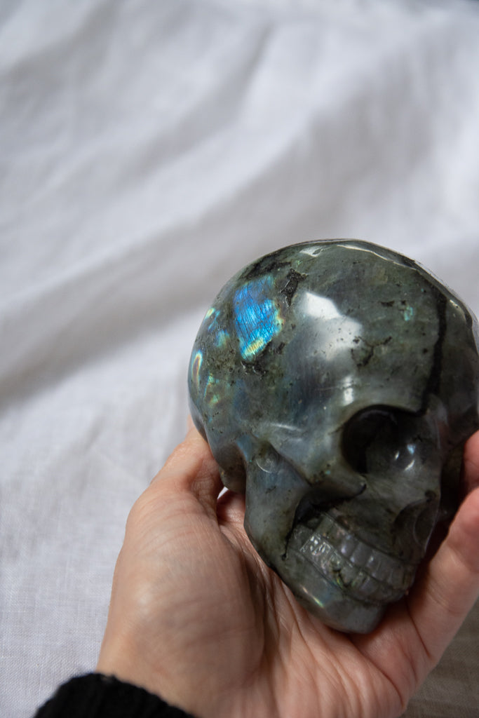 Crâne en Labradorite