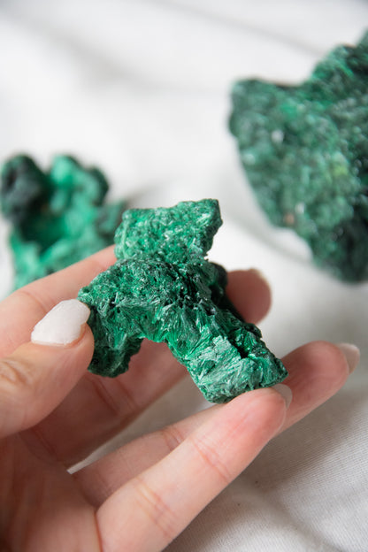 Malachite fibreuse