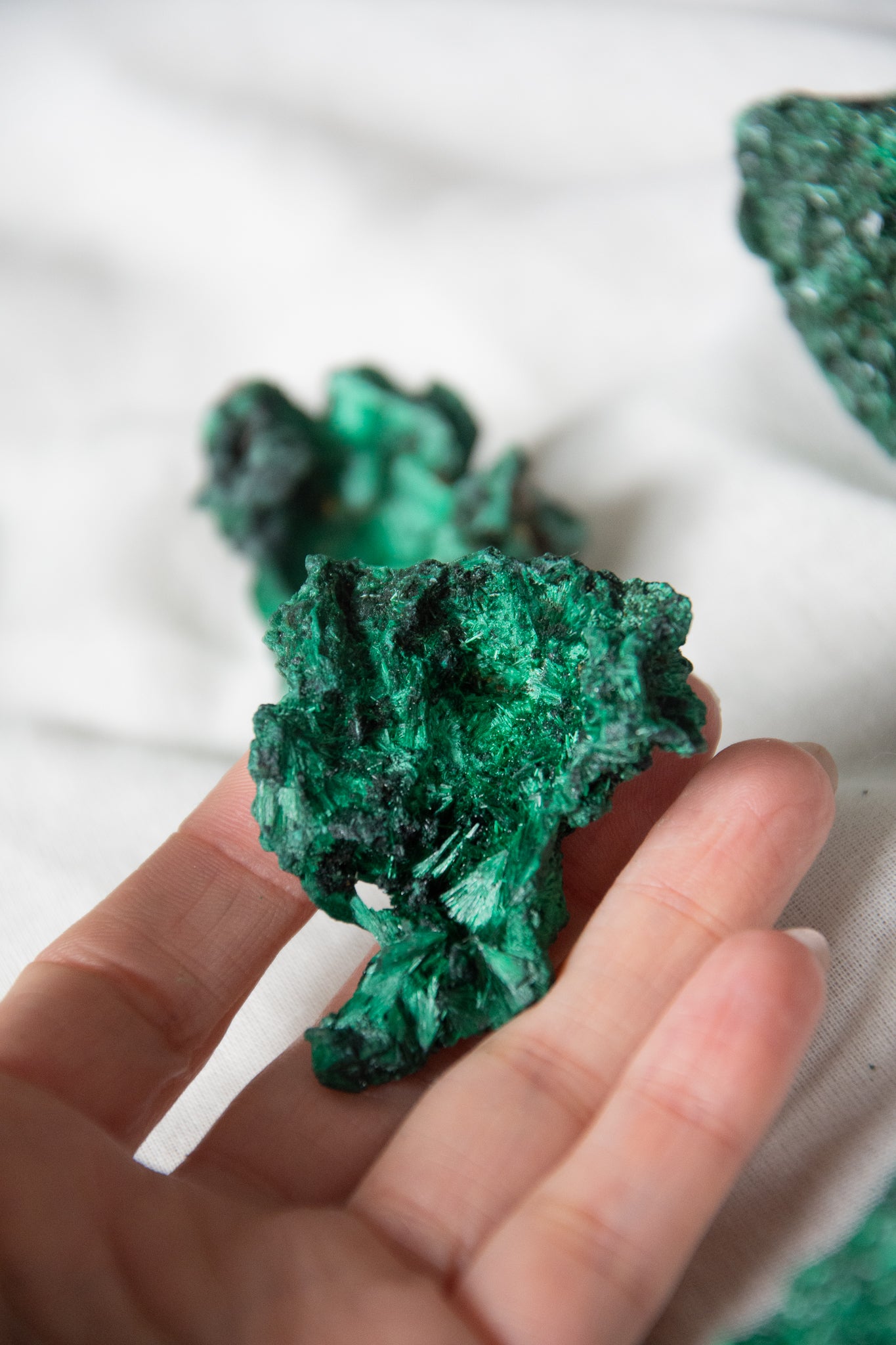 Malachite fibreuse