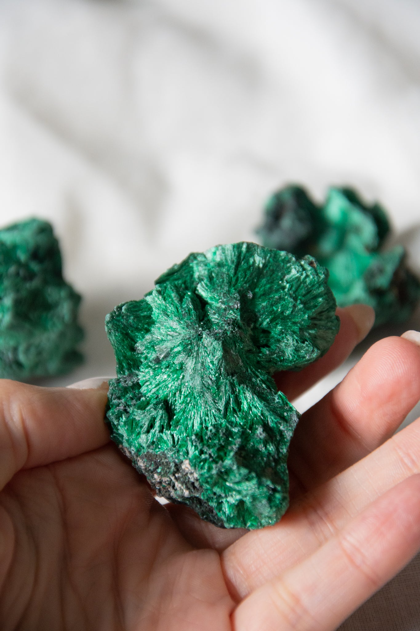 Malachite fibreuse