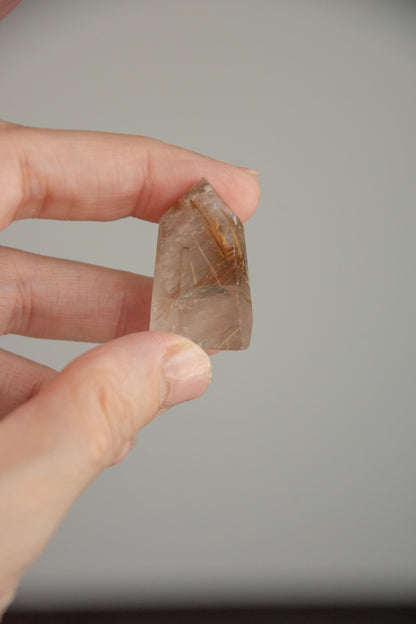 Mini pointes de Quartz rutile