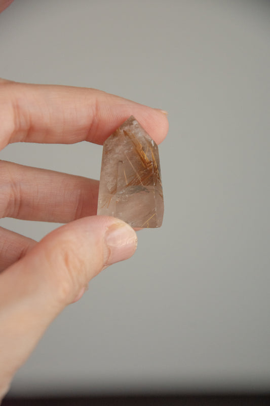 Mini pointes de Quartz rutile