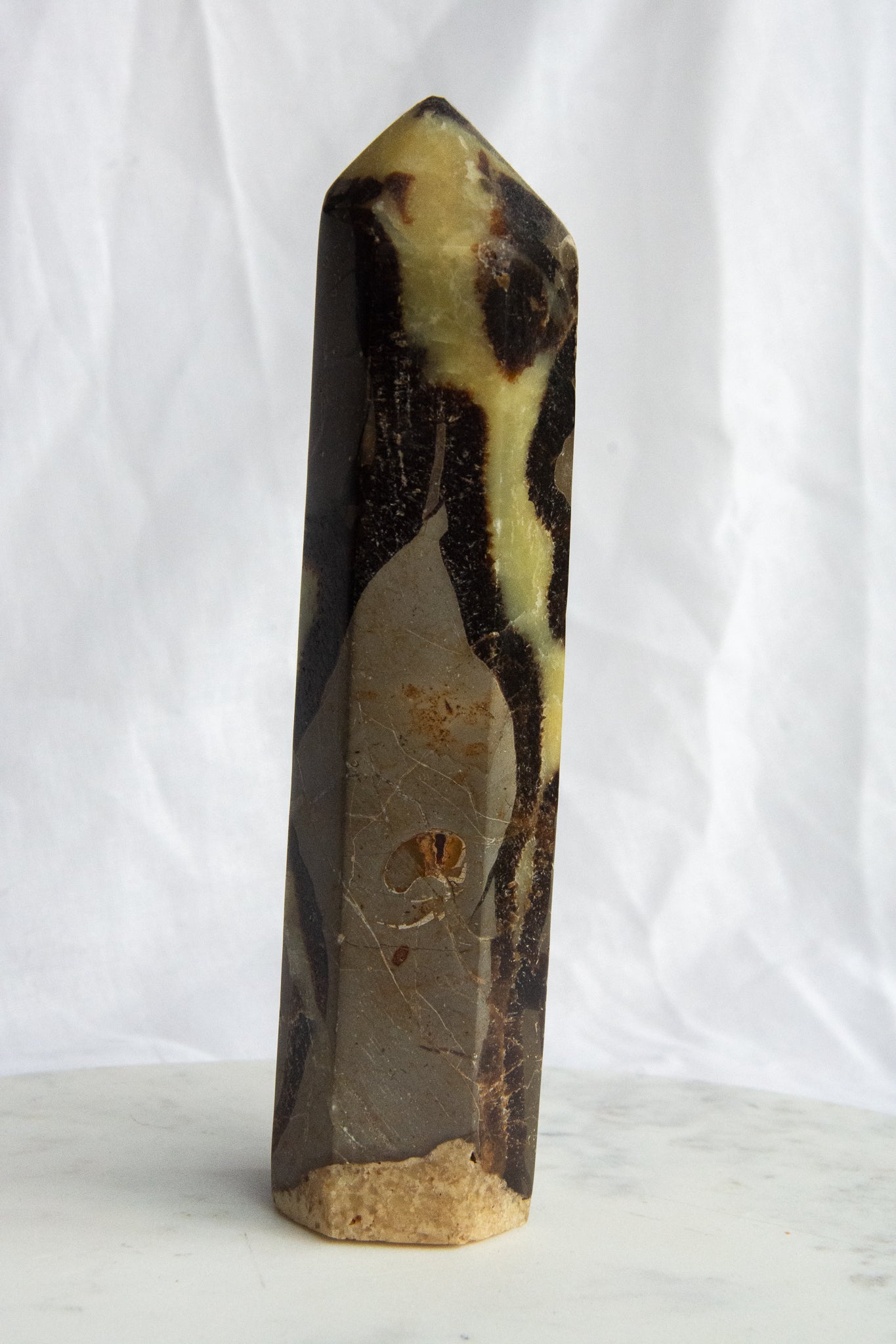 Pointe XL de Septaria